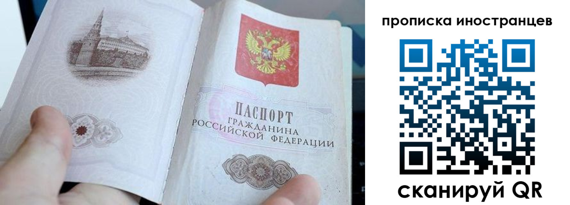 прописка поиск в Лузе